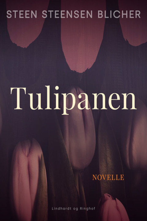 Omslag: Tulipanen