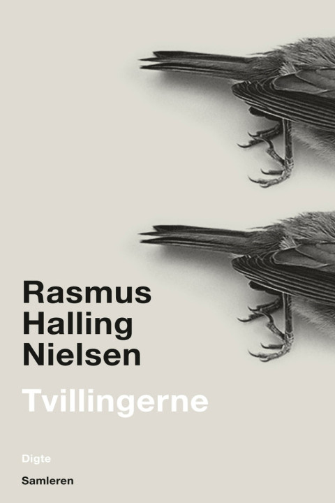 Omslag: Tvillingerne