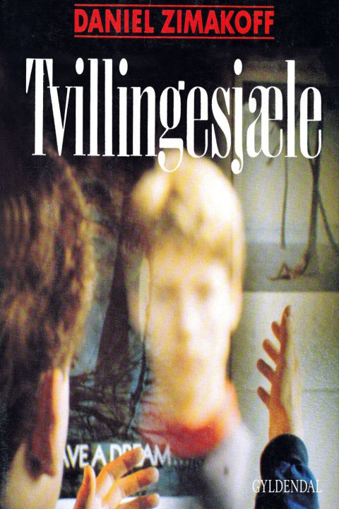 Omslag: Tvillingesjæle