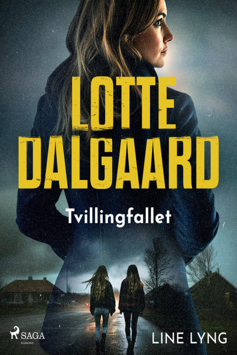 Omslag: Tvillingfallet