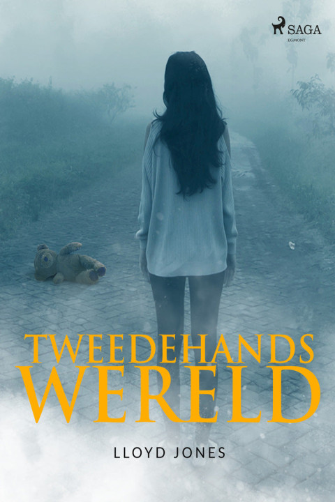 Omslag: Tweedehands wereld