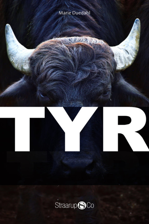 Omslag: Tyr