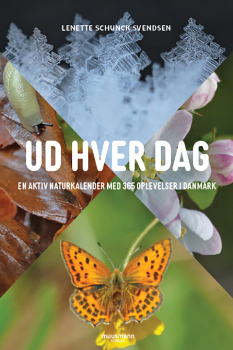Omslag: Ud hver dag
