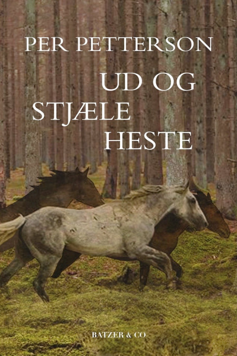 Omslag: Ud og stjæle heste