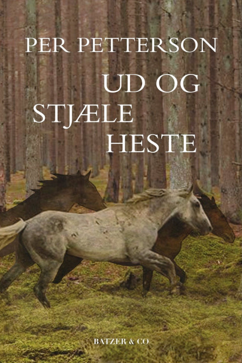 Omslag: Ud og stjæle heste