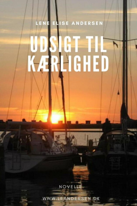 Omslag: Udsigt til kærlighed