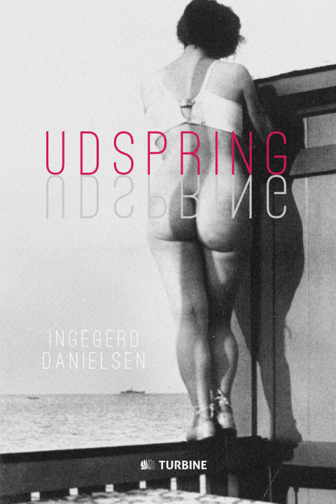 Omslag: Udspring
