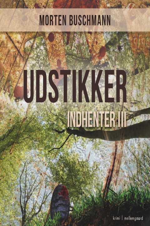 Omslag: Udstikker