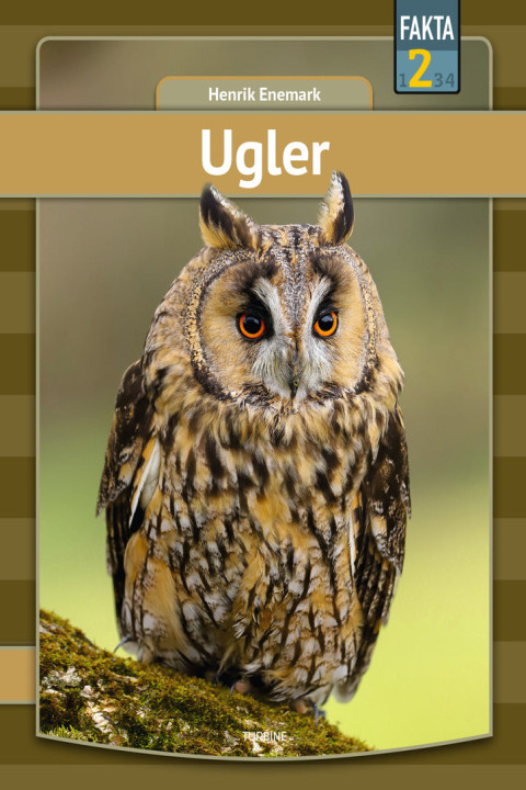 Omslag: Ugler