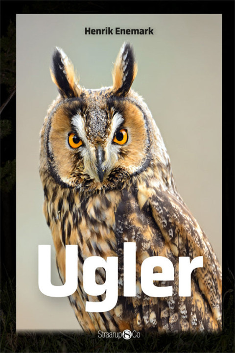 Omslag: Ugler