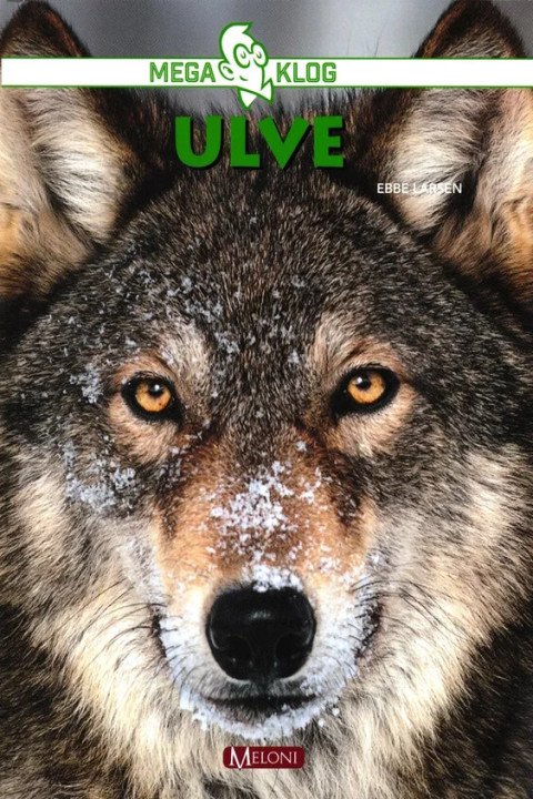 Omslag: Ulve