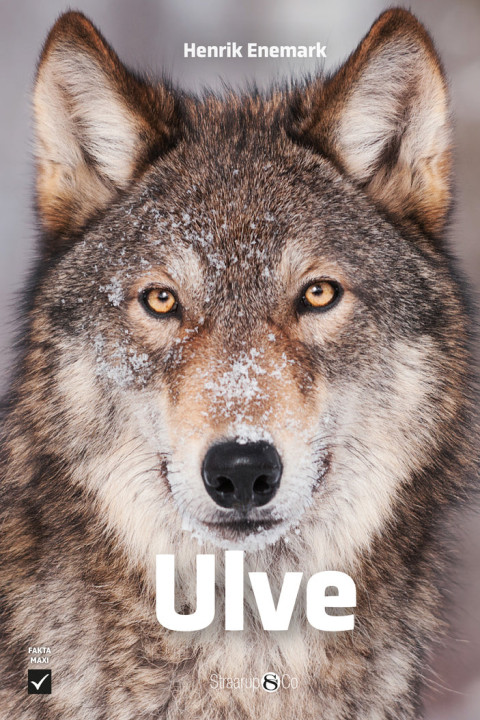 Omslag: Ulve