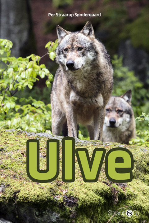 Omslag: Ulve
