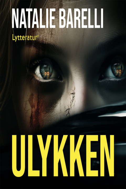 Omslag: Ulykken