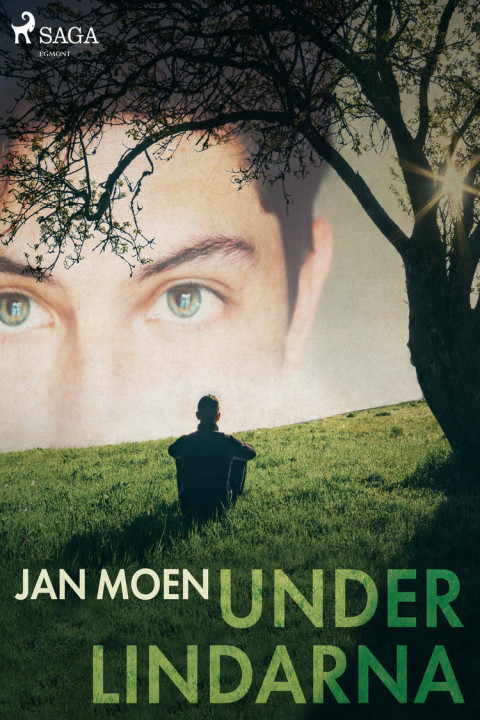 Omslag: Under lindarna