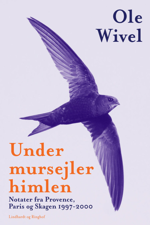 Omslag: Under mursejlerhimlen