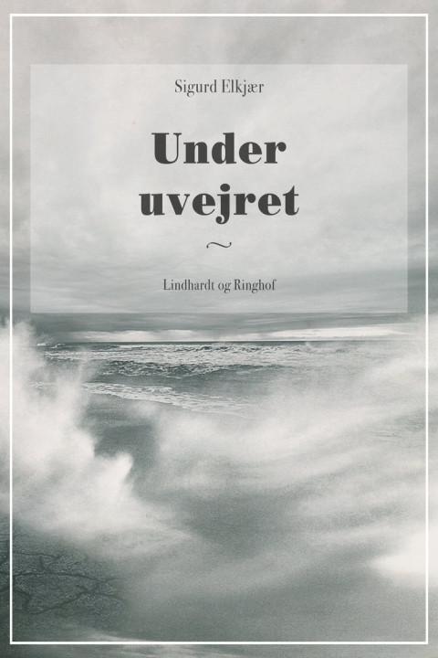 Omslag: Under uvejret