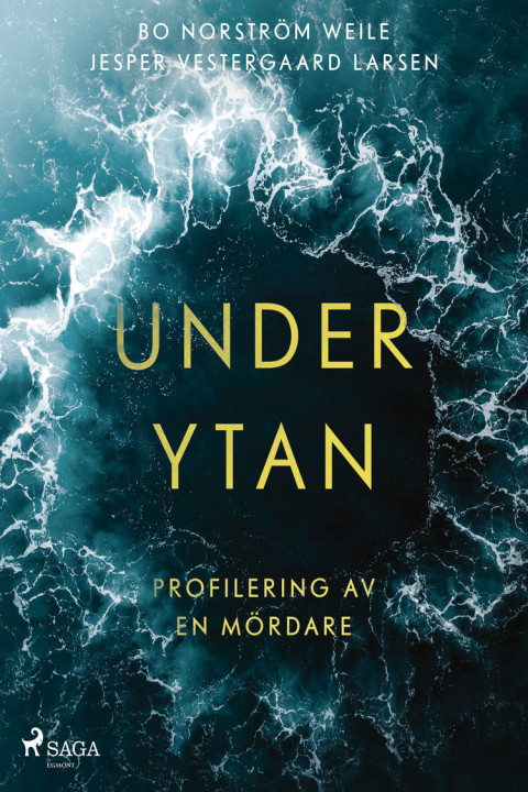 Omslag: Under ytan