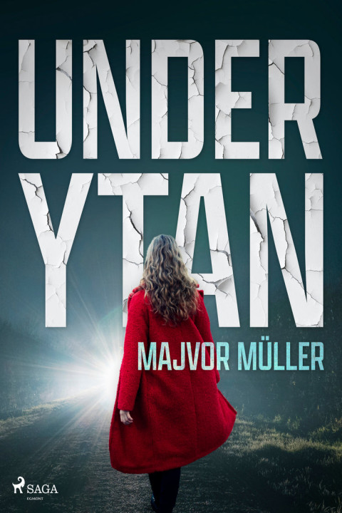 Omslag: Under ytan