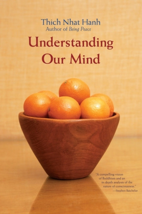 Omslag: Understanding Our Mind