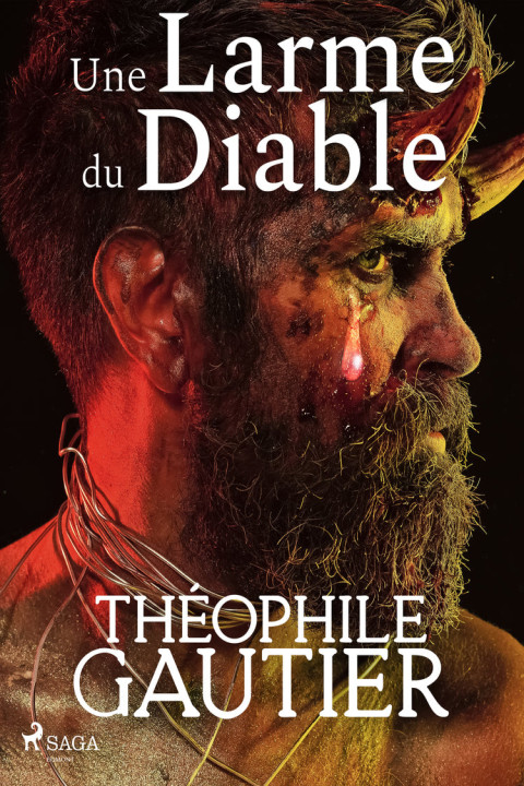 Omslag: Une Larme du Diable