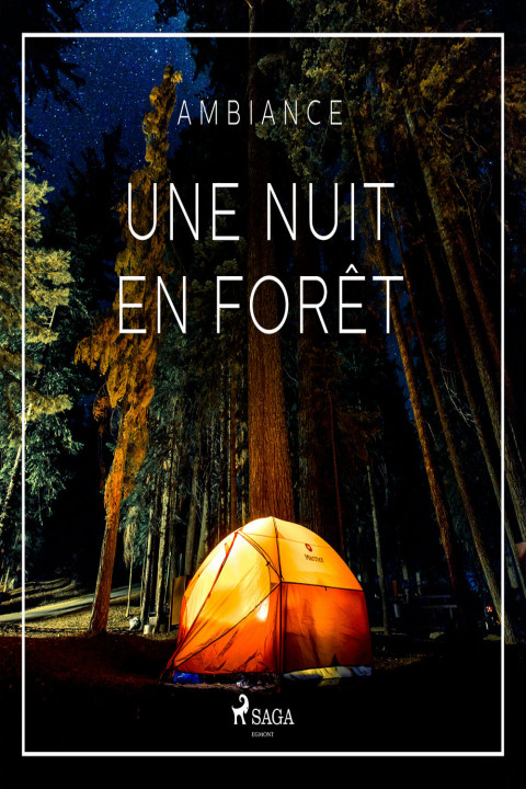 Omslag: Une nuit en forÃªt