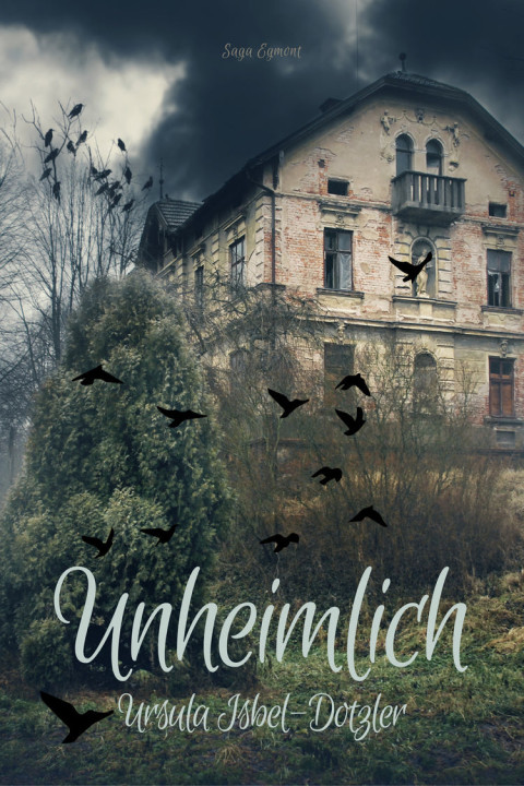 Omslag: Unheimlich