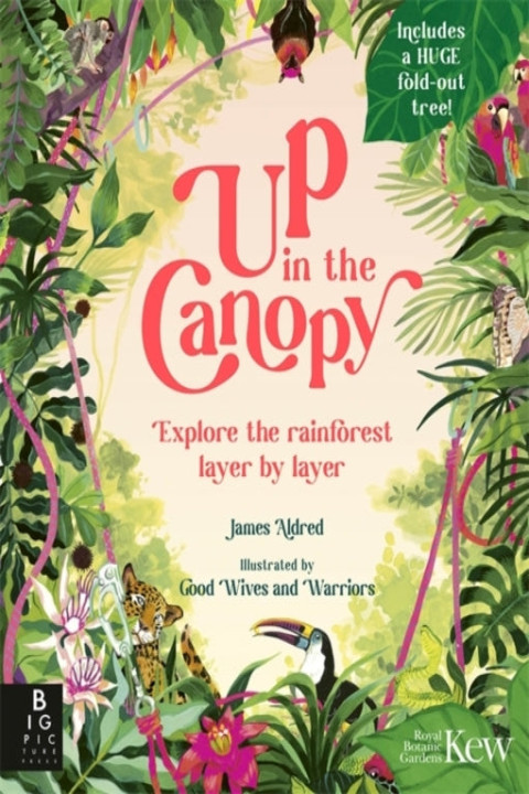 Omslag: Up In The Canopyexplore The Rainforest Layer By Layer
