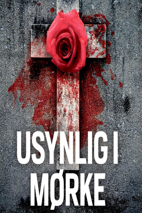 Omslag: Usynlig i mørke
