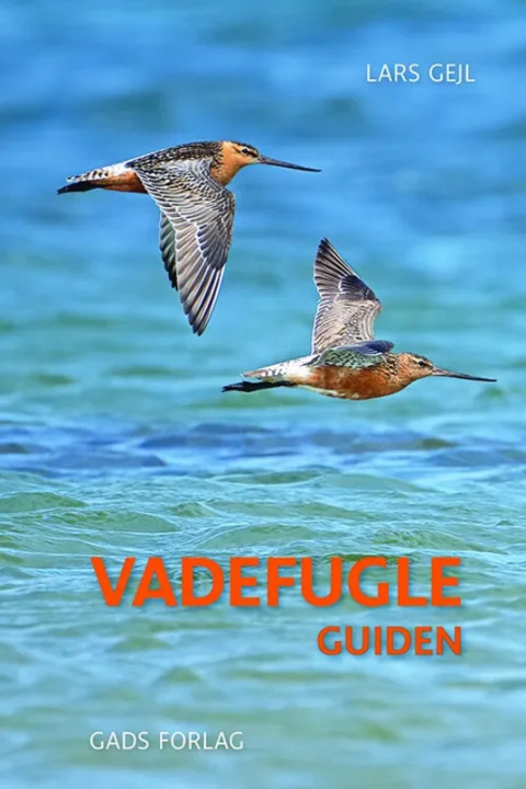 Omslag: Vadefugleguiden