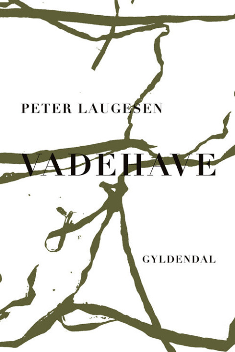 Omslag: Vadehave