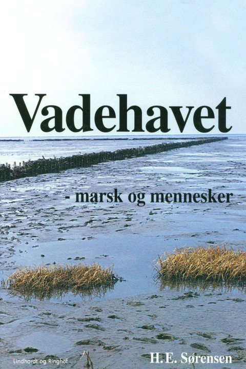 Omslag: Vadehavet