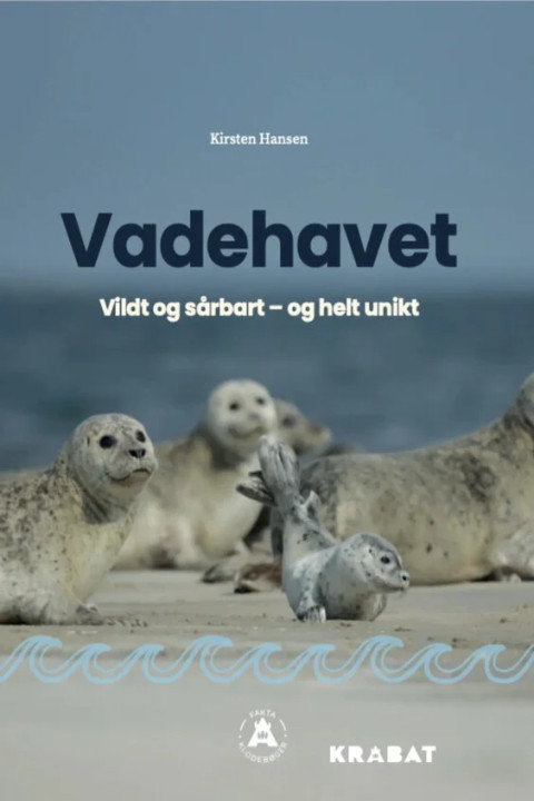 Omslag: Vadehavet