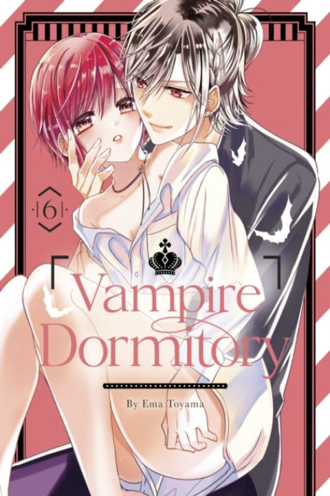 Omslag: Vampire Dormitory 6