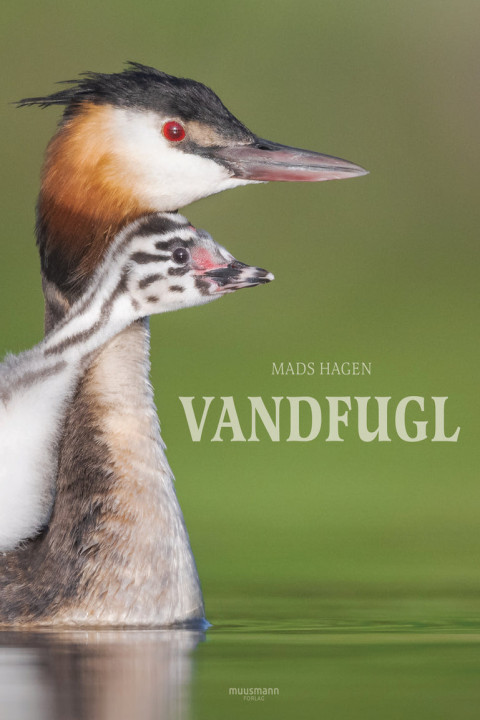 Omslag: Vandfugl
