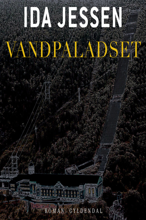 Omslag: Vandpaladset