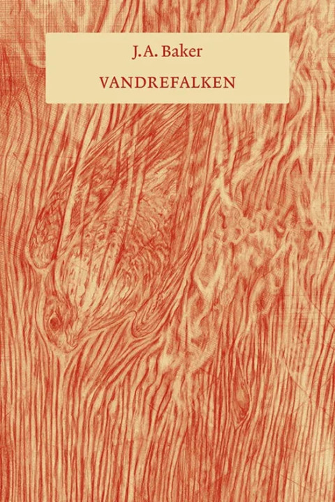 Omslag: Vandrefalken