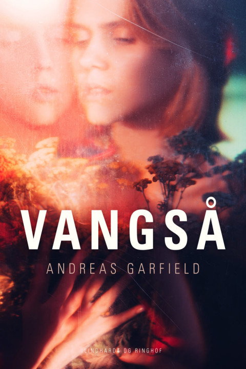 Omslag: Vangså