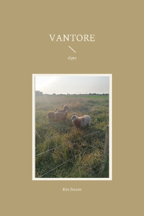 Omslag: Vantore