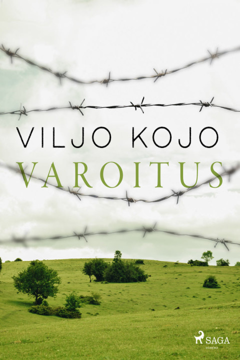 Omslag: Varoitus