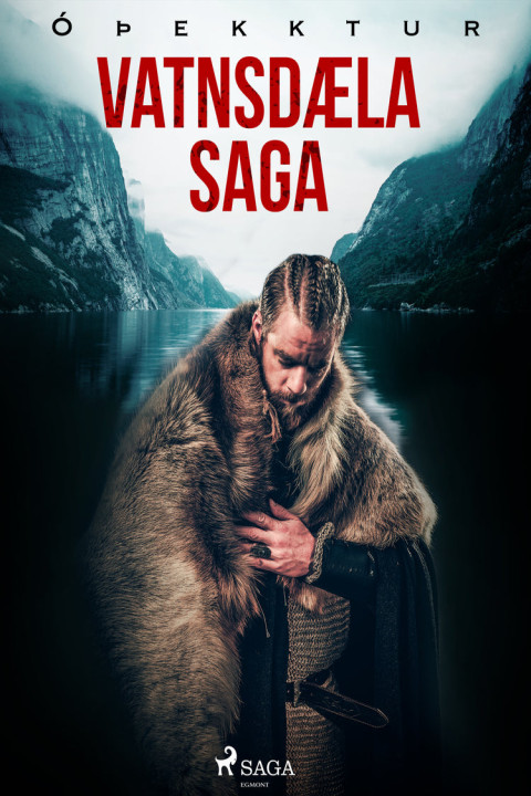 Omslag: Vatnsdæla saga