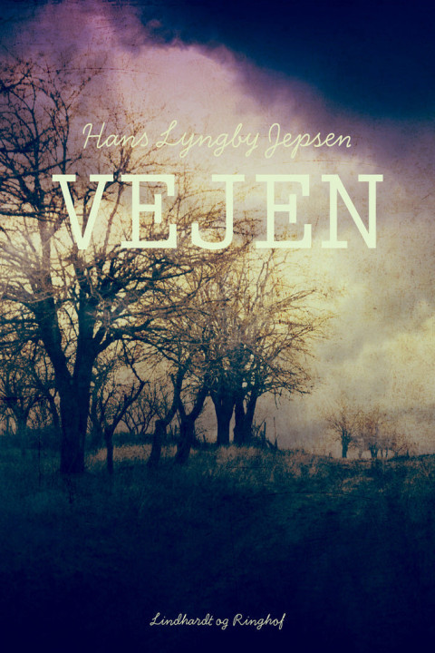 Omslag: Vejen