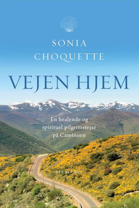 Omslag: Vejen hjem
