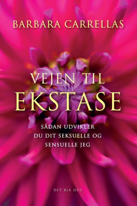 Omslag: Vejen til ekstase