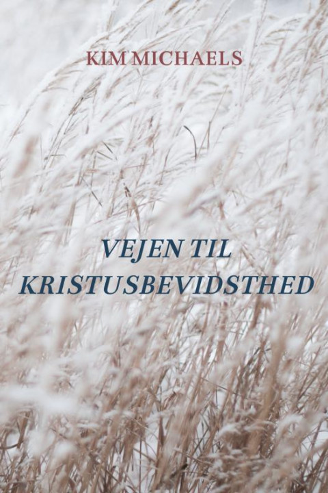 Omslag: VEJEN TIL KRISTUSBEVIDSTHED
