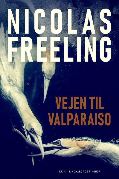 Omslag: Vejen til Valparaiso