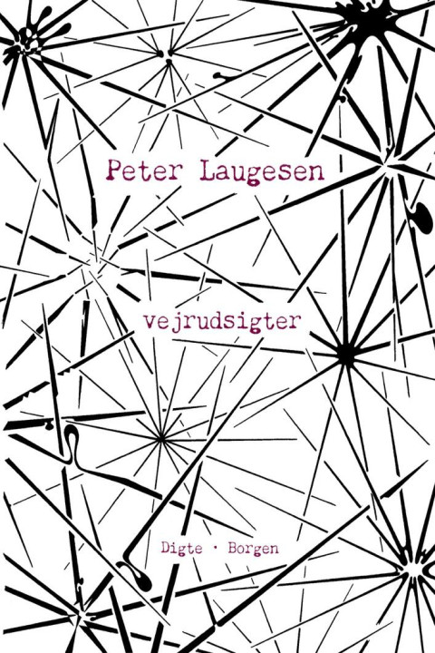 Omslag: Vejrudsigter