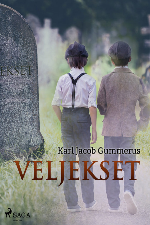 Omslag: Veljekset