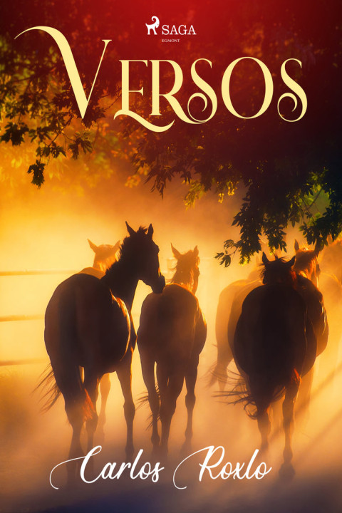 Omslag: Versos