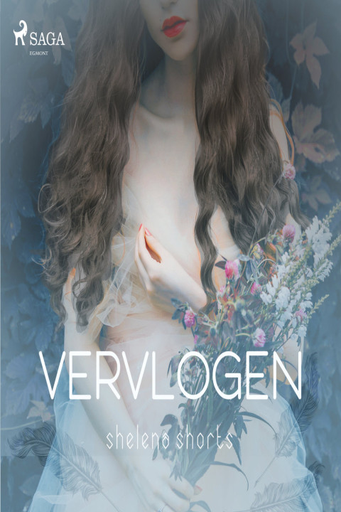Omslag: Vervlogen